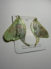 Load image into Gallery viewer, Wing158
