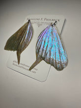 Load image into Gallery viewer, Wing68
