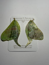 Load image into Gallery viewer, Wing158
