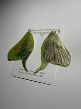 Load image into Gallery viewer, Wing158
