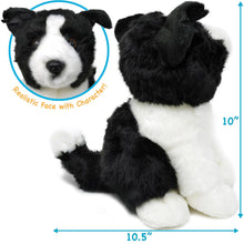 Load image into Gallery viewer, Borna the Border Collie | 11 Inch Stuffed Animal Plush
